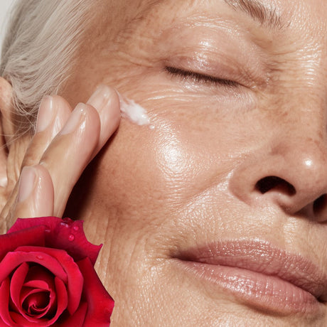 Master your Skin - endlich gesunde, glatte & ebenmäßige Haut