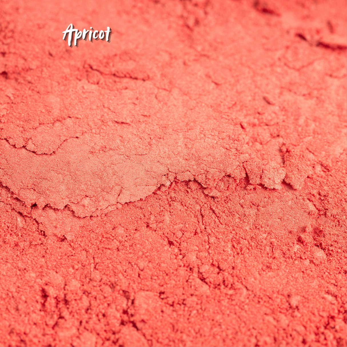 Blush Collection – Samtige Pigmente für natürliche Frische