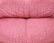 Longlasting lip cream