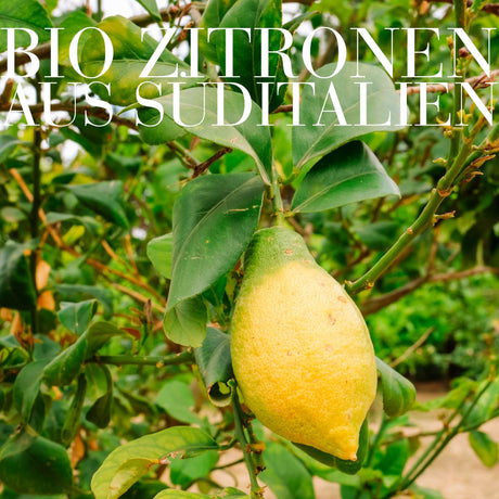 Siero Cocktail Biologico Alla Vitamina C+