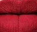 Longlasting lip cream