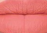Longlasting lip cream