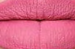 Longlasting lip cream