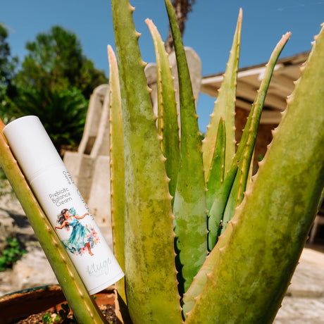 Tiki Garden Prebiotic Balance Cream – Mikrobiom stärken & Hautbarriere schützen