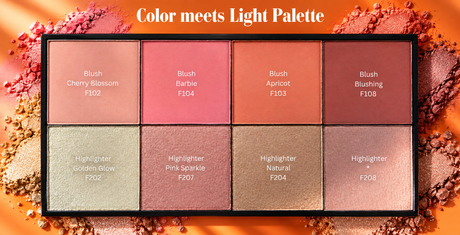 Color meets Light Palette - Rouge & Highlighter in einer grossen Palette
