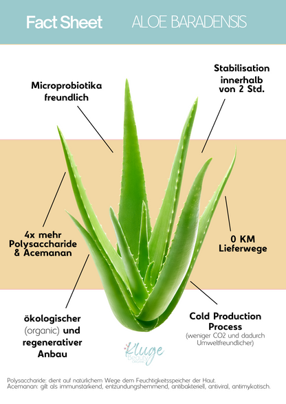 Fact Sheet über Aloe Barbadensis. Informationen zu ihren Vorteilen, wie ökologischem Anbau, hohem Polysaccharidgehalt und regenerativen Eigenschaften.