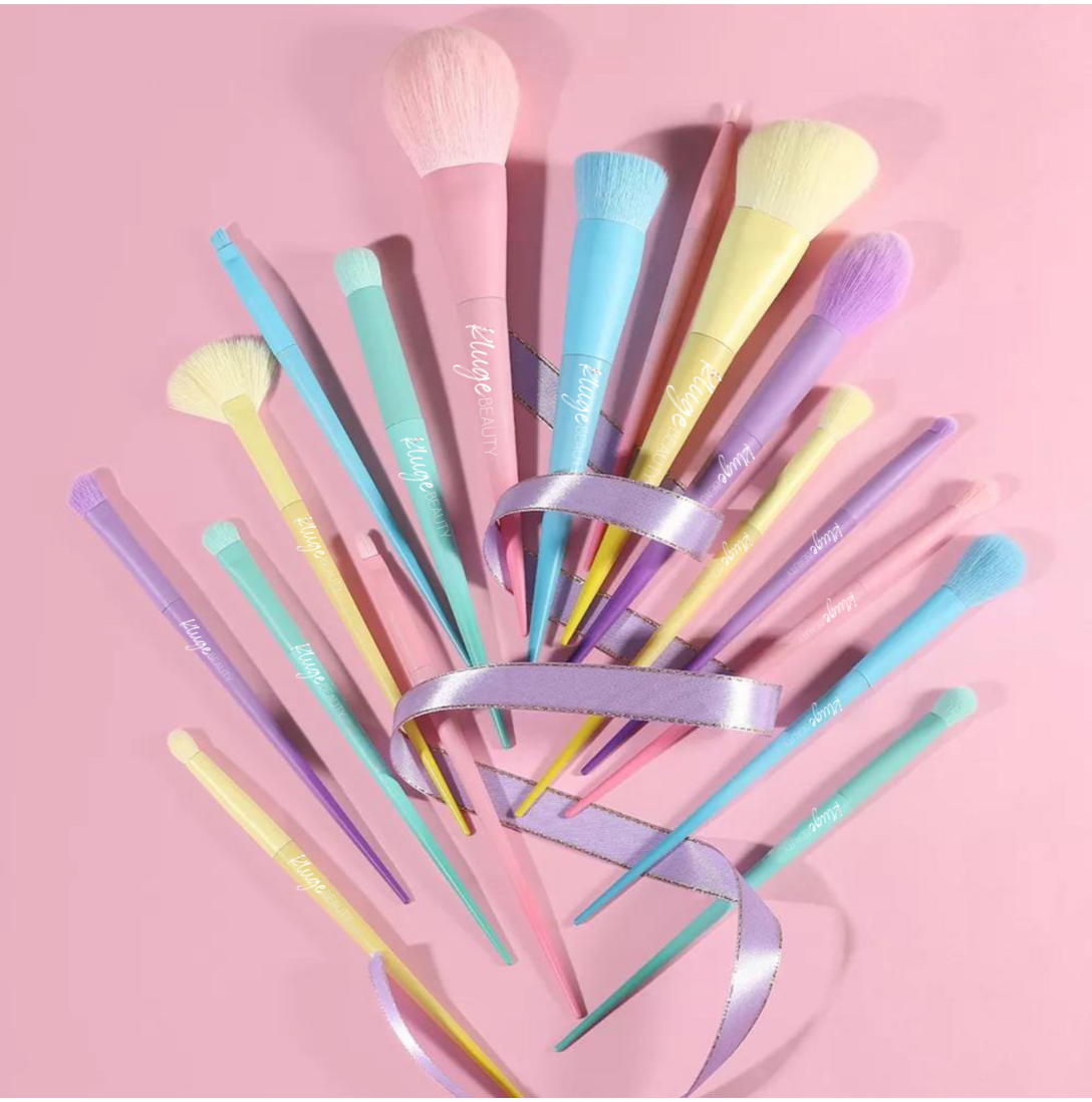 Professional brush set colorful